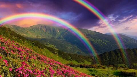 Colorful miracle