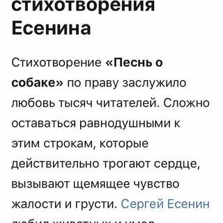 Стихотворение есенина про собаку