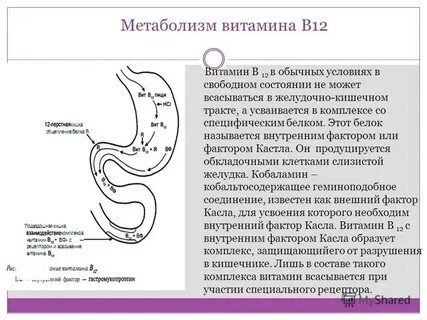 12 b ответ
