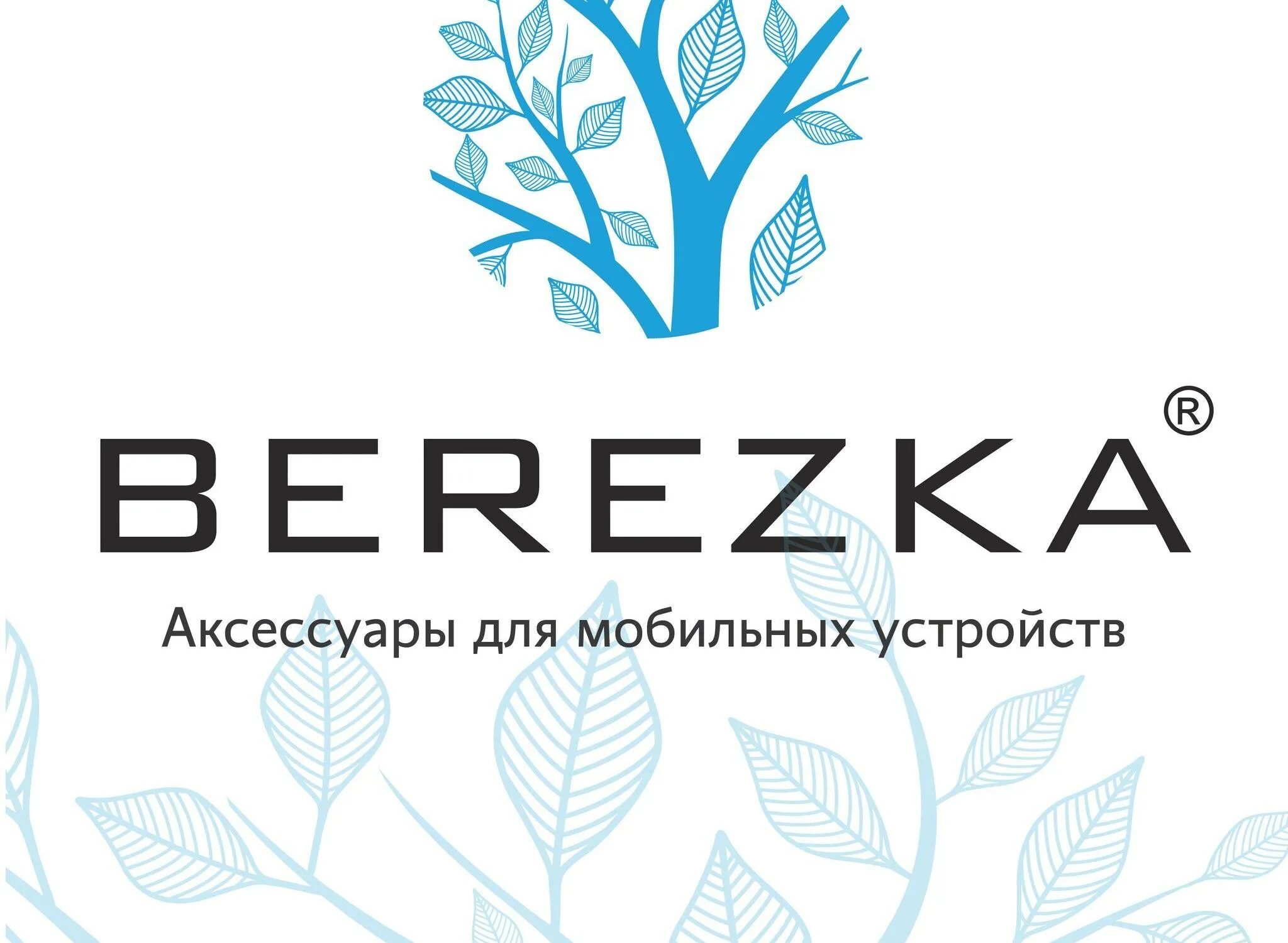 Береза логотип. Магазин Березка логотип. Фирма береза логотип. Фирменные магазины Березка. Березка интернет магазин