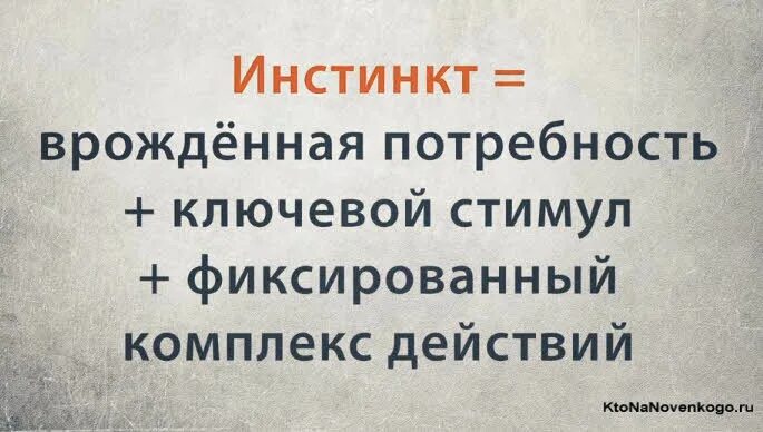 Какой инстинкт является основным инстинктом человека. Инстинкты человека. Инстинкты человека список. У человека есть инстинкты. Примеры инстинктов у человека.