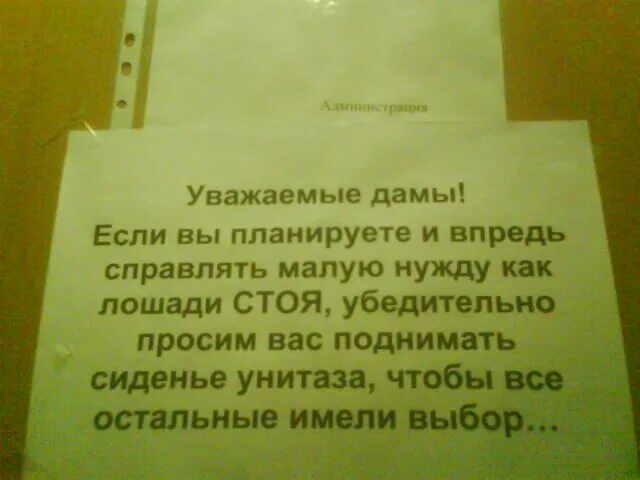 Как написать впредь. Объявление в женский туалет о соблюдении чистоты. Надпись в туалете о соблюдении. Таблички в туалете о чистоте. Надпись женский туалет.