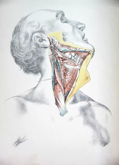 Have a in my throat