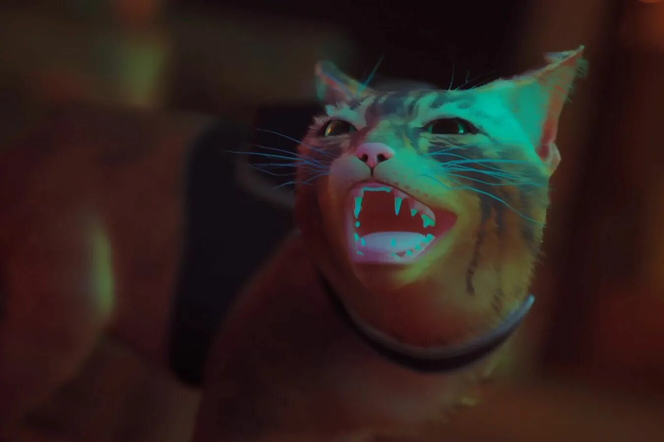 Моддер предлагает сделать цифровую копию вашего кота для Stray The GEEK