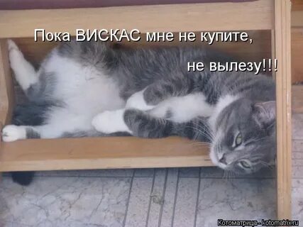 Больше не полезут