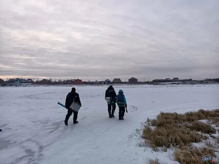 Погода тельма усольский