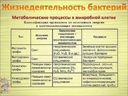 Какие процессы жизнедеятельности характерны для живых клеток