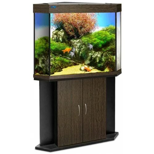 аквариум биодизайн угловой. аквариум биодизайн риф 240. 195 литров. аскона постельное белье home laguna. кровать альберто люкс 140.