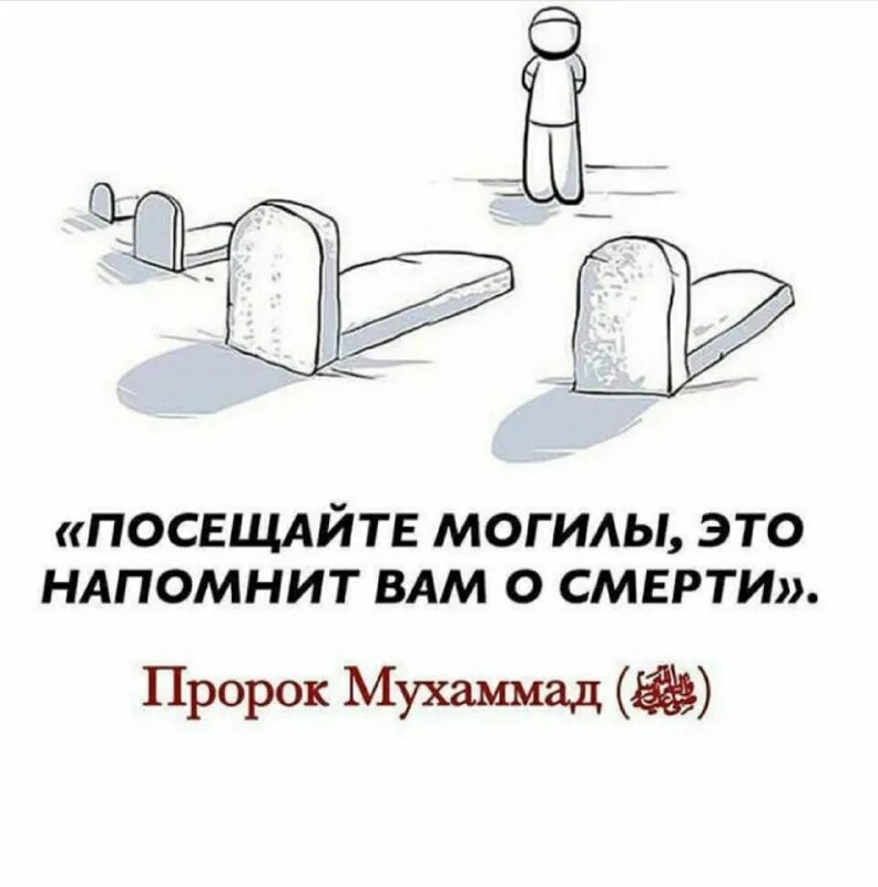хадис про могилу. сильсиля аль-ахадис ас-сахиха купить. хадис про муаза. мусульманские цитаты про жизнь. исламские хадисы.