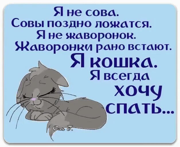 Всегда поздно. Жаворонок просыпается рано. ложусь поздно встаю рано. жаворонок кто рано встает и рано ложиться. кто рано встаёт жаворонок или сова.