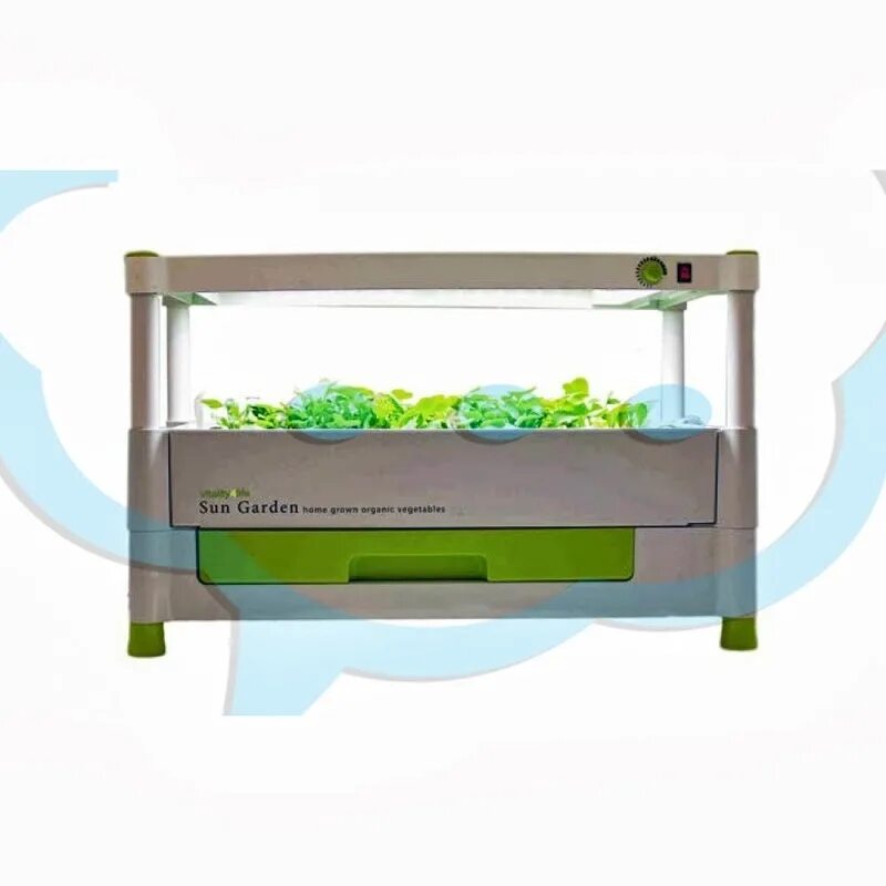 Сайт солнечный сад. Сайт солнечный сад. Солнечный сады екб. Сад. Сайт солнечный сад.