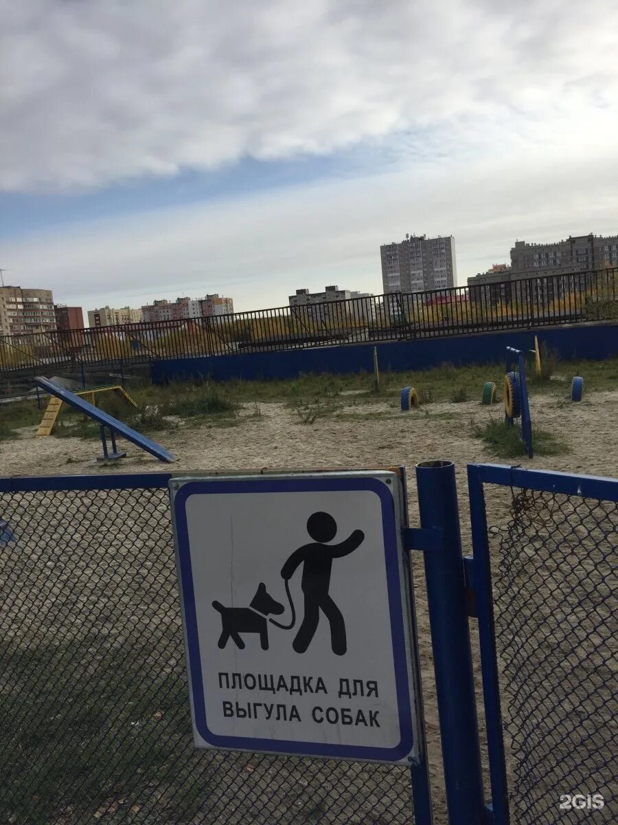 Территория выгула собак. Зона выгула собак. Территория выгула собак. Площадка для собак. Площадка для выгула собак проект.