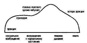 Пик активности женщины. График половой активности женщин. Половая активность у мужчин и женщин. Пик сексуальности у мужчин и женщин. График сексуальности мужчин и женщин.