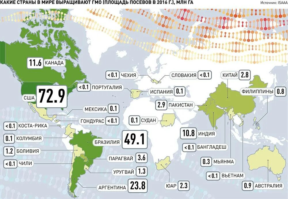 977 какая страна. Страны по выращиванию. Это где в какой стране. Какая Страна в стране. Карта распространения ГМО.