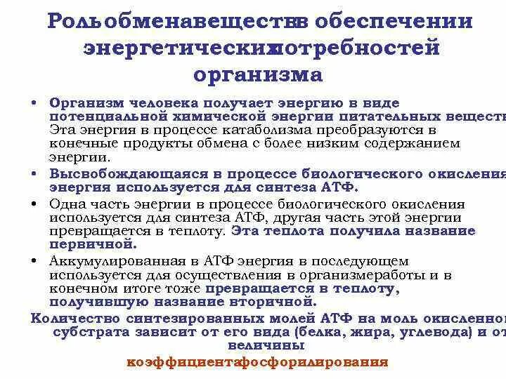 Энергетические потребности организма. Определение энергетических потребностей организма. Пластические потребности организма. Важность обмена веществ в организме.