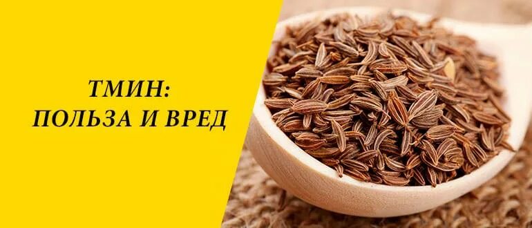 Тмин польза. Тмин польза и вред. Семена тмина польза и вред. Тмин польза и вред для организма человека.