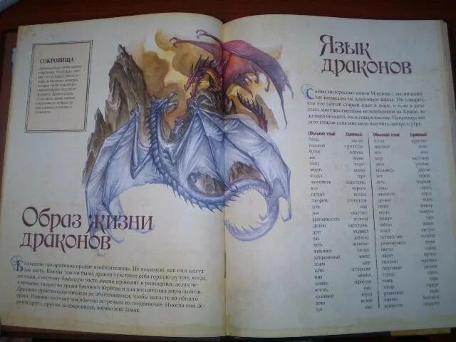 Язык дракон книги. Красная книга с драконом на обложке. Драконы книга драконов. Пришествие драконов. Имена драконов на русском.