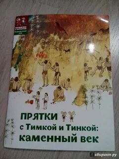 Каменный век книга