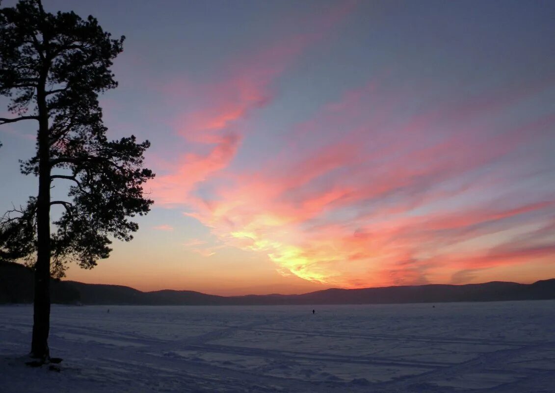 Утро (утренняя заря) (1534). Фото заходящего солнца. Заходящее солнце закат. Дом заходящего солнца. Косяк птиц на закате.