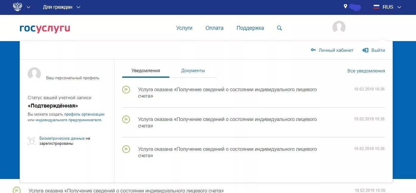Личный кабинет госуслуги статус