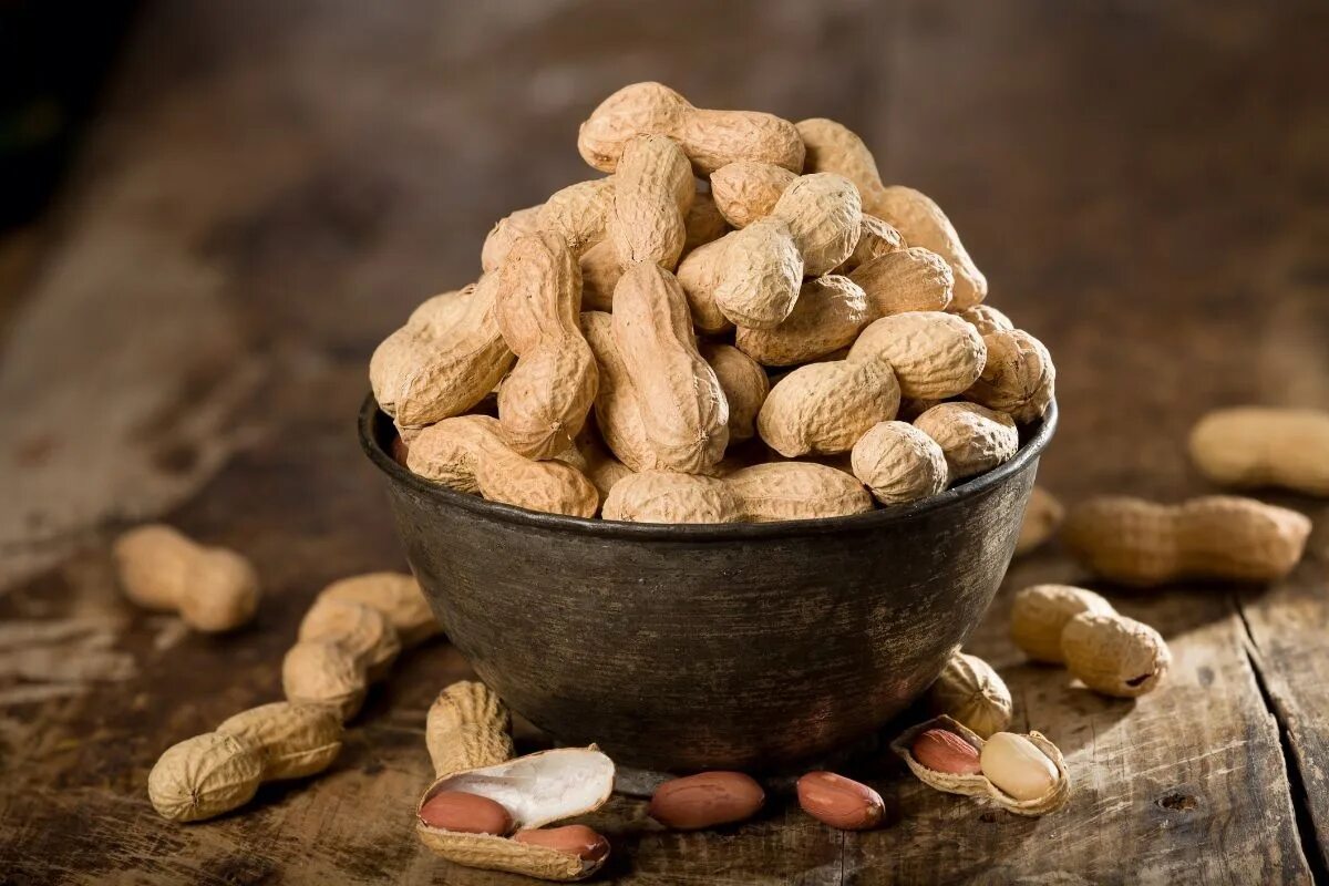 Земляной арахис. Орехи арахис. Арахис культурный Земляной орех. Арахис красивый. Арахис орех или боб