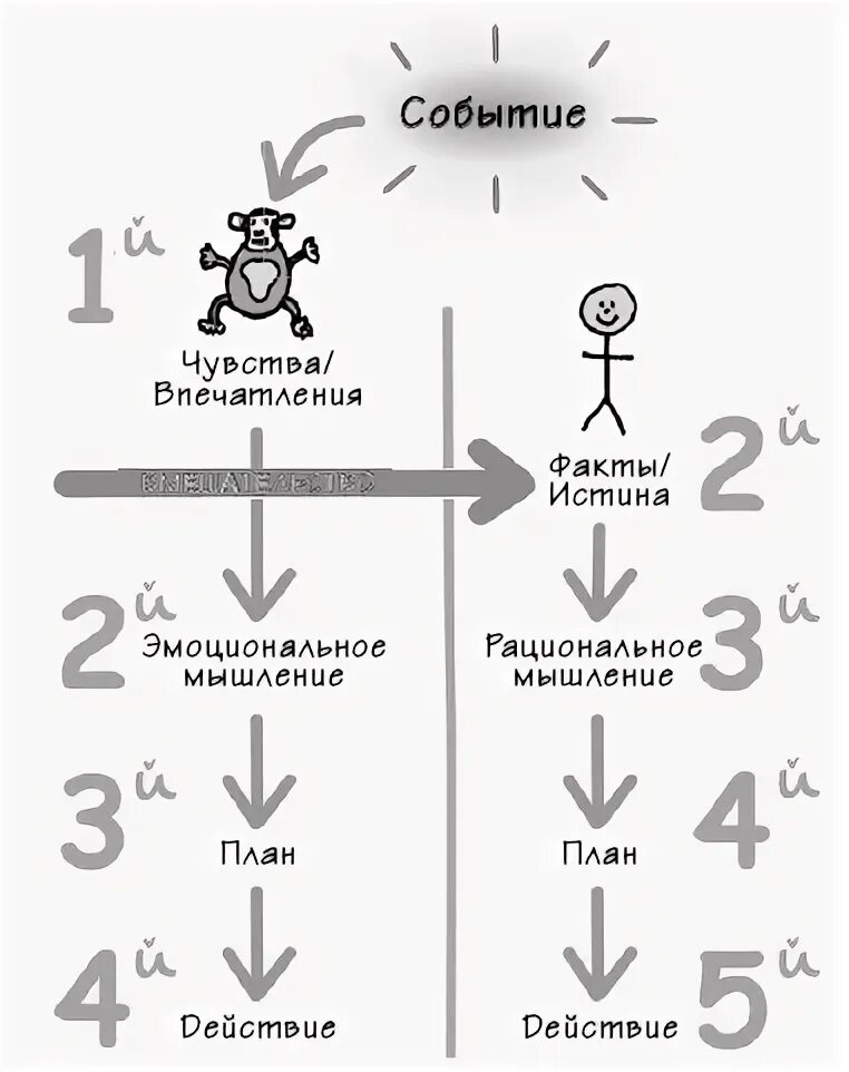 Парадокс питерса. Схема мозга парадокс шимпанзе. Парадокс дедушки. Парадокс алле презентация. Парадокс эллсберга презентация.