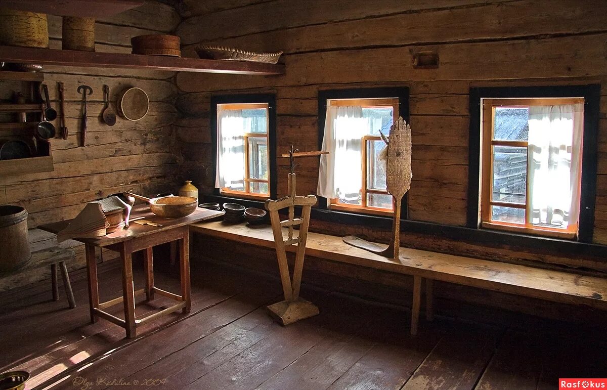 Место хозяина в доме. Домашние животные для квартиры. Место хозяина в доме. Комната для собак. Кот в доме хозяин.