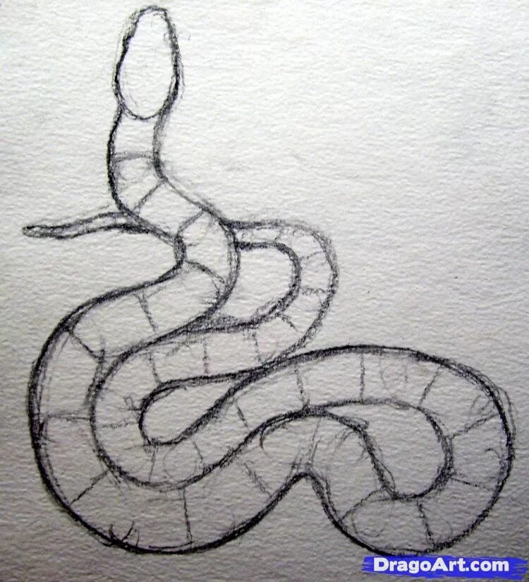 Рисунок змеи. Уроки рисования змея. Лёгкие рисунки змеи. Рисунок змеи для срисовки.