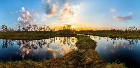 Мшинская санкт петербург балтийский