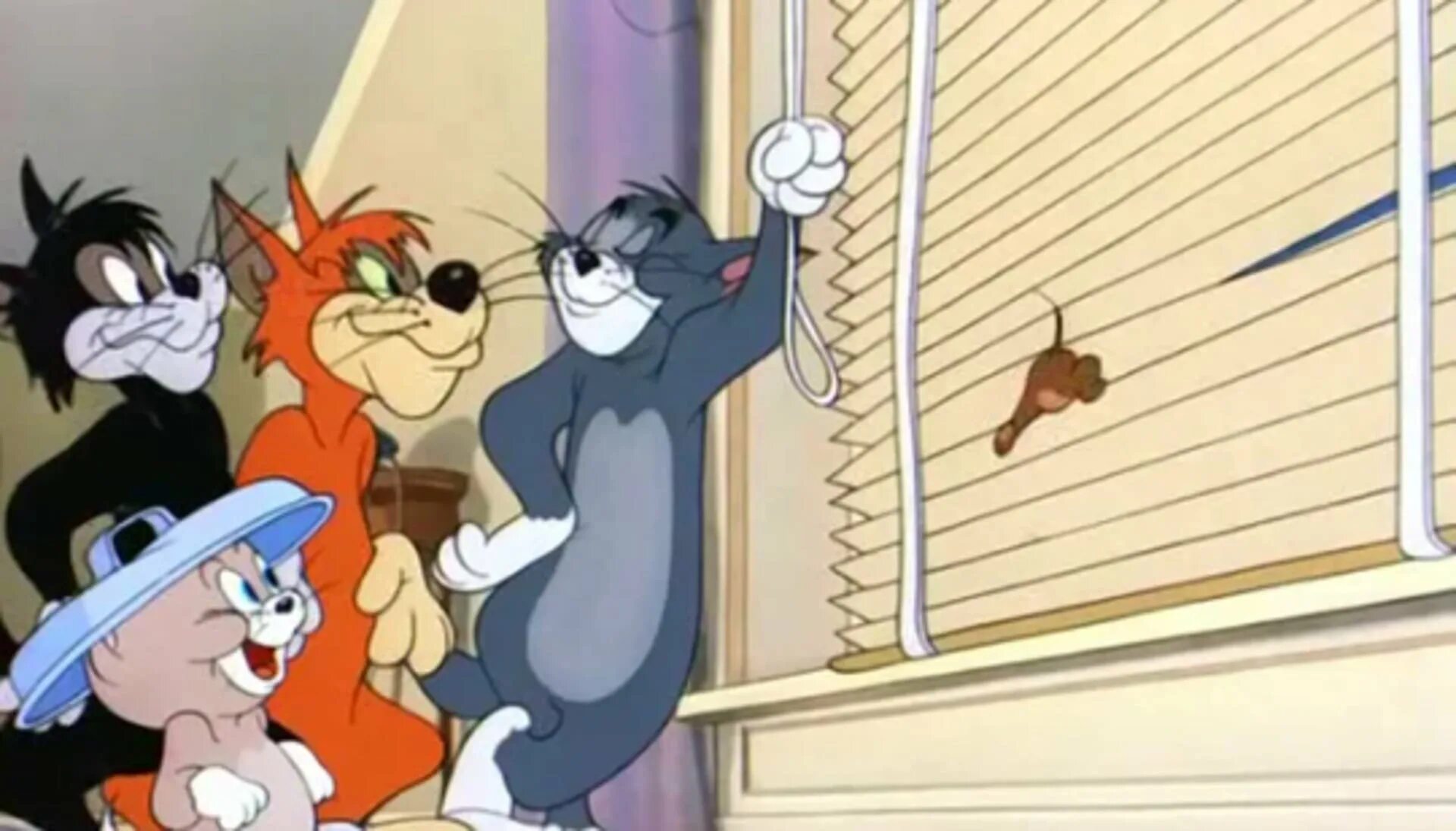 Том и Джерри 1972. Tom and Jerry Бутч. Том и Джерри кот Бутч. Друзья Тома и Джерри. Назовите друзей тома