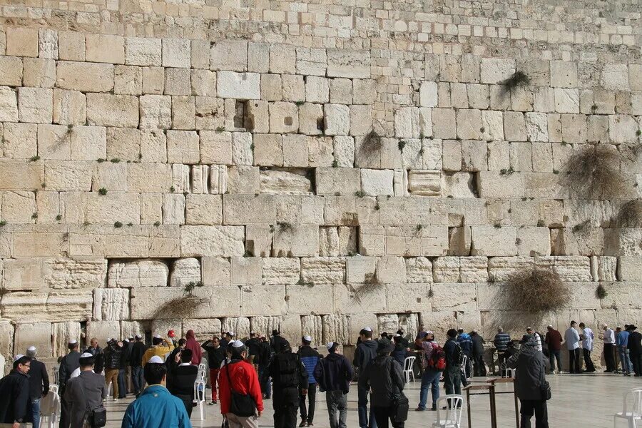 Западная стена храмовой горы. Стена плача храмовая гора палестина. Иерусалим стена плача храмовая гора. Иерусалимский храм стена плача. Стена храма в иерусалиме.