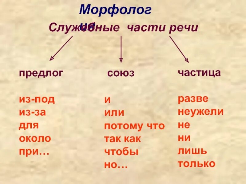 Вокруг дома часть речи. На это предлог или Союз или частица. Предлоги частицы и Союзы в русском языке. Но это предлог или Союз или частица. С это Союз или предлог.