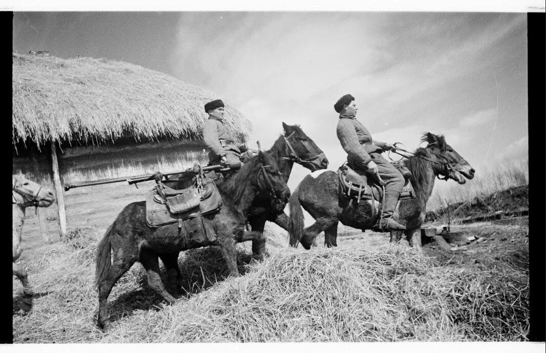 Башкиры вов. Советская кавалерия в вов 1941-1945. кавалерия ркка в 1941.