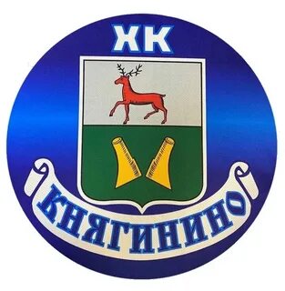 Хк саров княгинино