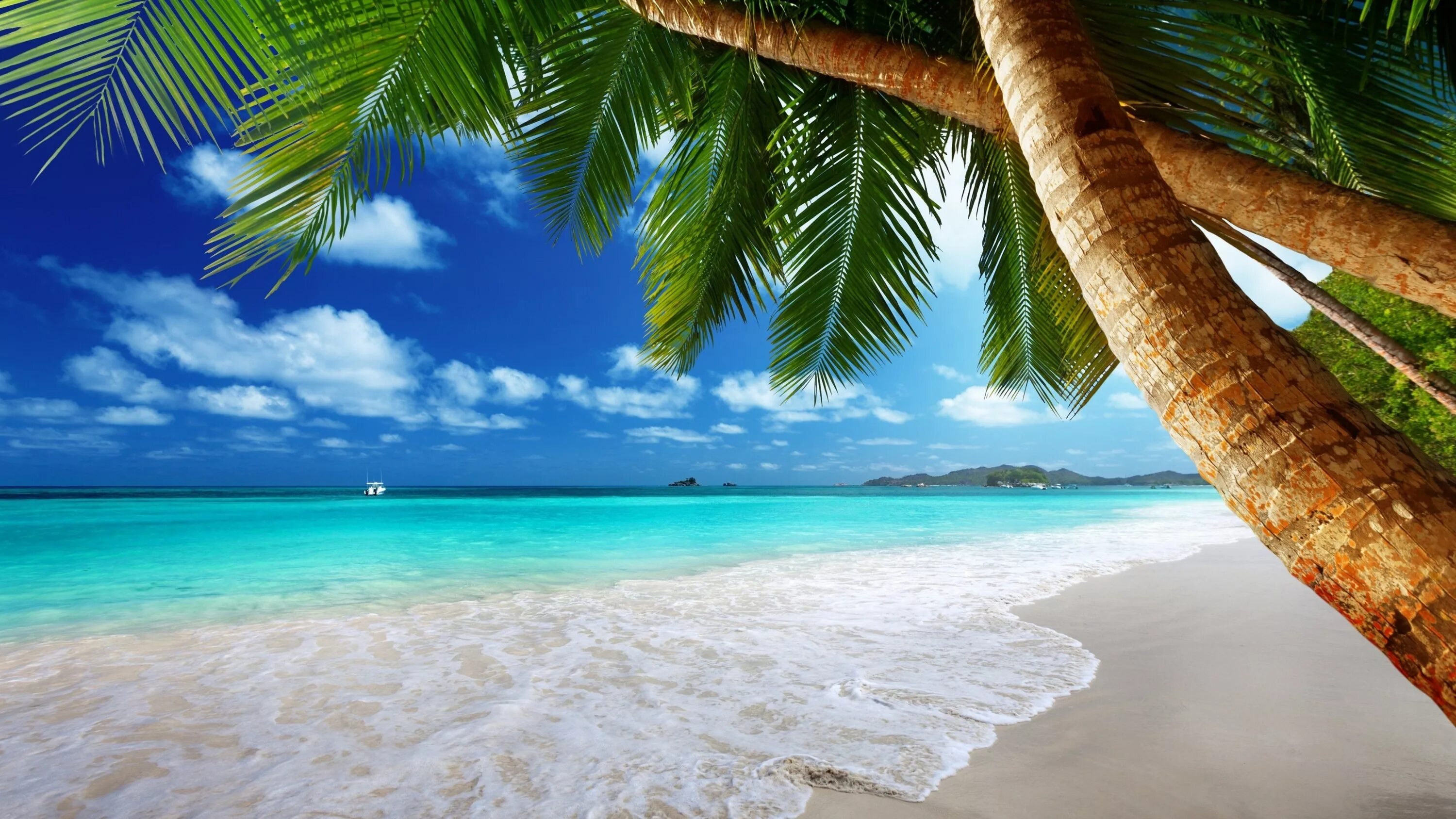 Установить на рабочем столе обои красивая. Парадиз остров Карибского моря. Красивый пляж. Заставка на рабочий стол море пляж. Райский пляж.