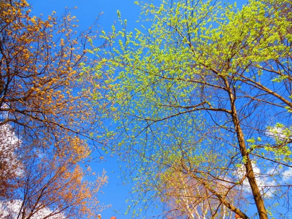 Весна река солнце. Апрель солнце. Весна солнце. Весна солнце. Солнечный весенний день.