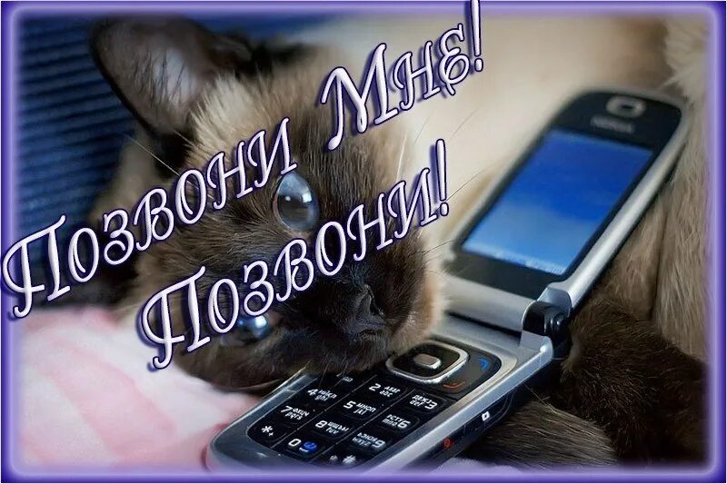 Скучал mp3. Позвони картинки. Открытка позвони мне. Открытка жду звонка. Открытка жду звонка от любимого.