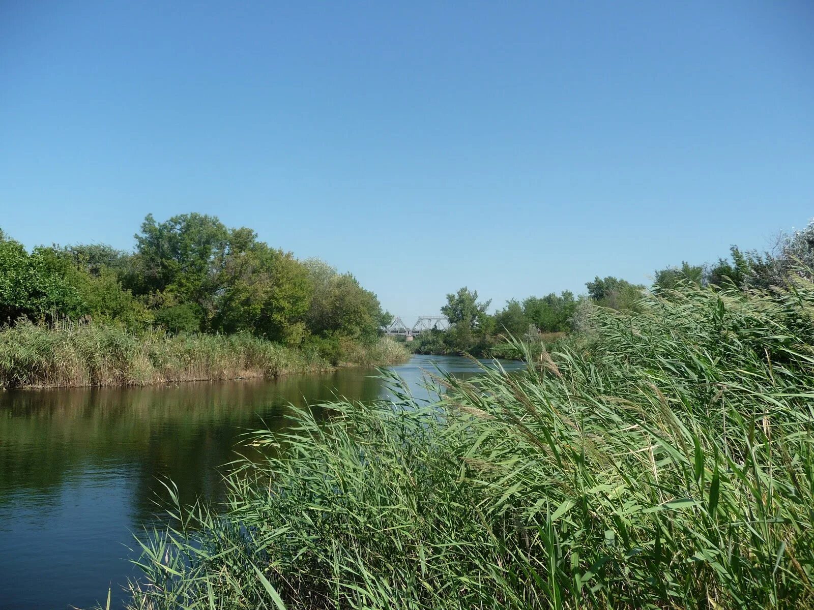 Река волчья донецкая область. Волчья (приток северского донца). Река волчья донецкая. Река волчья донецкая область. Река волчья донецкая область.