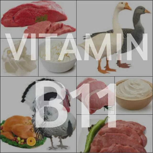 А 11 b 12 c 9. Витамин в11. Витамин b11. Витамин в11 (витамин т, карнитин).. Витамин в11 для чего.