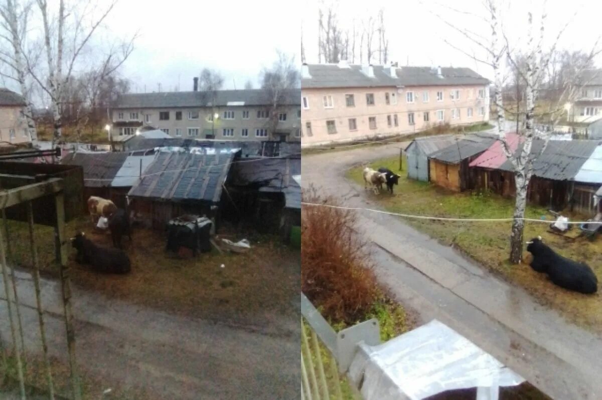 Новости подслушано городок. Подслушано в белом городке.