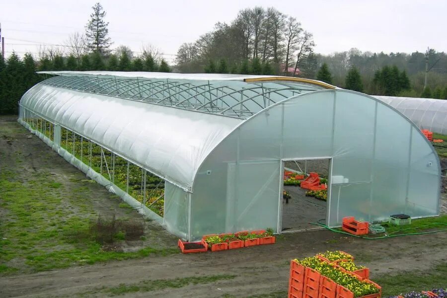 Купить теплицу 12 метров. Теплица 3х4 м пленка 135г/м2 big Walkin Greenhouse. Теплица фермерская Агро 5на10. Фермерская арочная теплица 8м огурец. Туннельная теплица 10х30м.