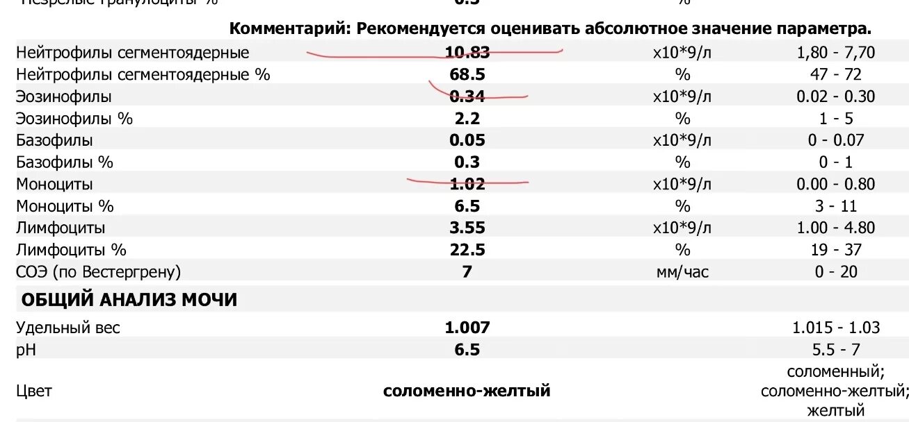 Сегментоядерные нейтрофилы норма в абсолютных. Сегментоядерные нейтрофилы в анализах норма. Нейтрофилы сегментоядерные 46.00. Нейтрофилы показатели нормы у взрослых.