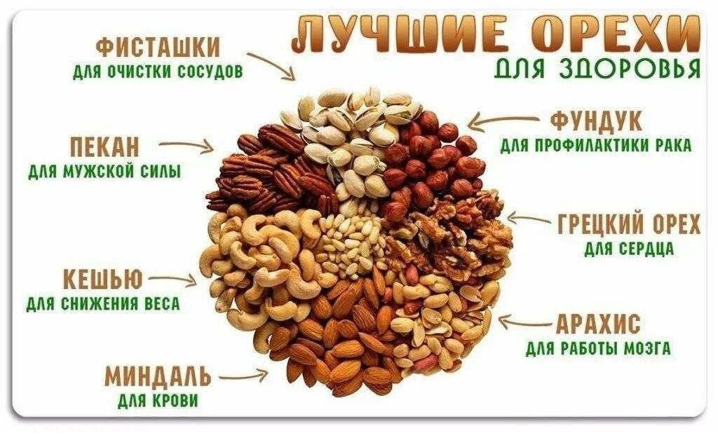 Сколько надо съесть грецкого ореха. Полезные орехи для организма. Самые полезные орехи для организма. Самые полезные орехи для женщин. Самый полезный орех для мужчин.