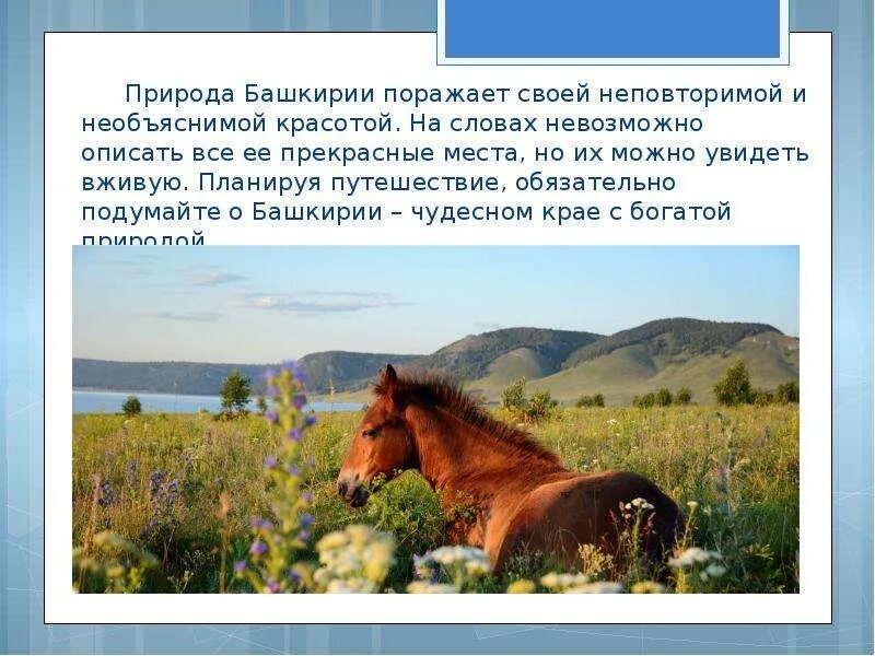 Информация о башкортостане