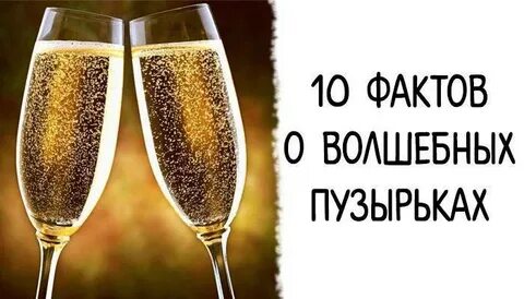 Пьет ли шампанское
