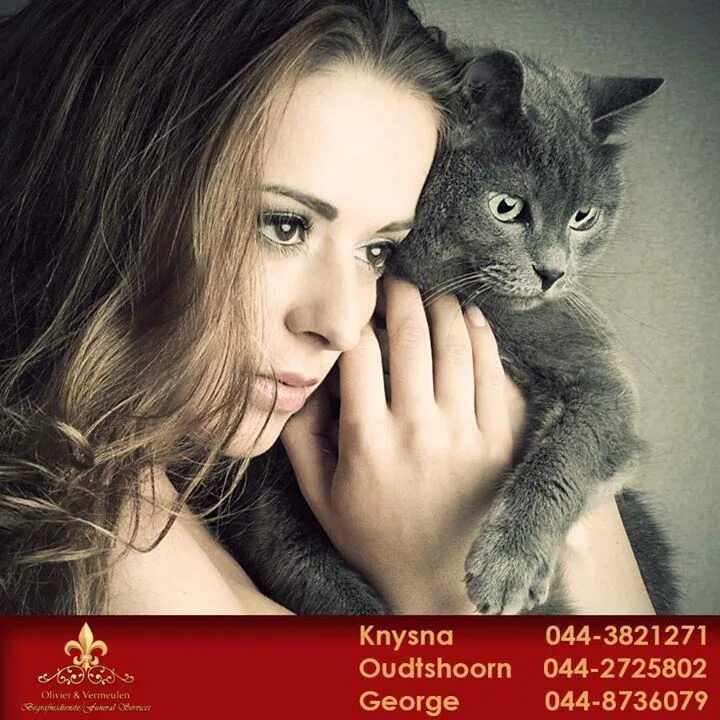 Красивая девушка с кошкой. Фото девочек с кошками. Девочка с котом. Фотосессия с котом. Фотосессия с котом.