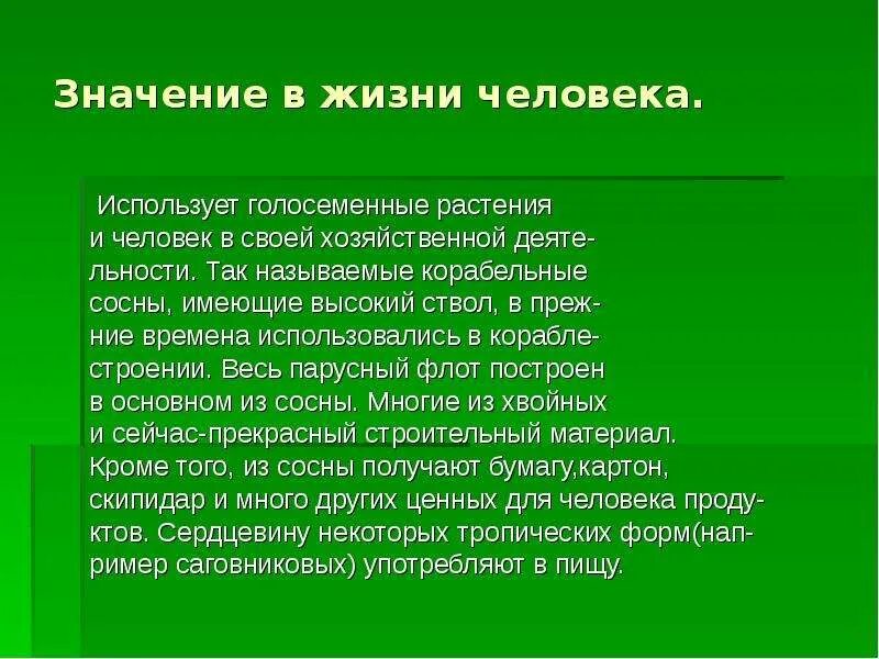 Сообщение на тему значение природы. Значение голосеменных в жизни человека. роль голосеменных растений в природе и жизни человека. важность растений в жизни человека. значение голосеменыхв природе.