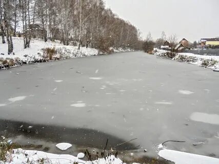 Плодопитомник кемерово