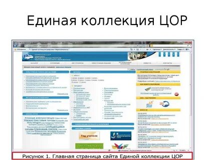 Библиотека электронных образовательных ресурсов