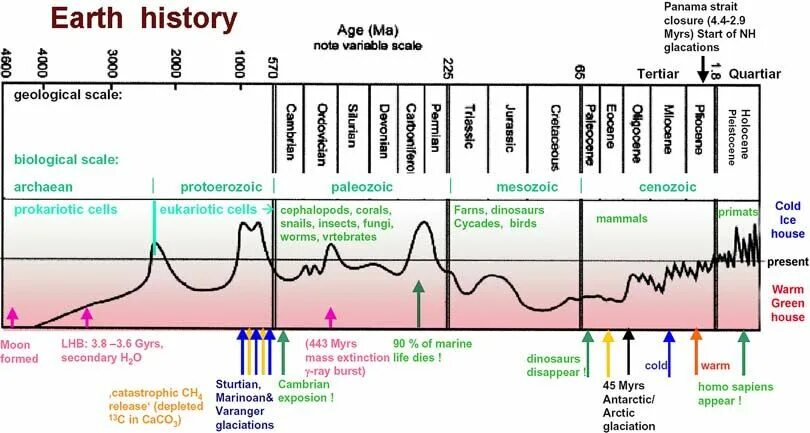 History of Earth. Human History timeline. Geologic History of Earth. History of Life on Earth.